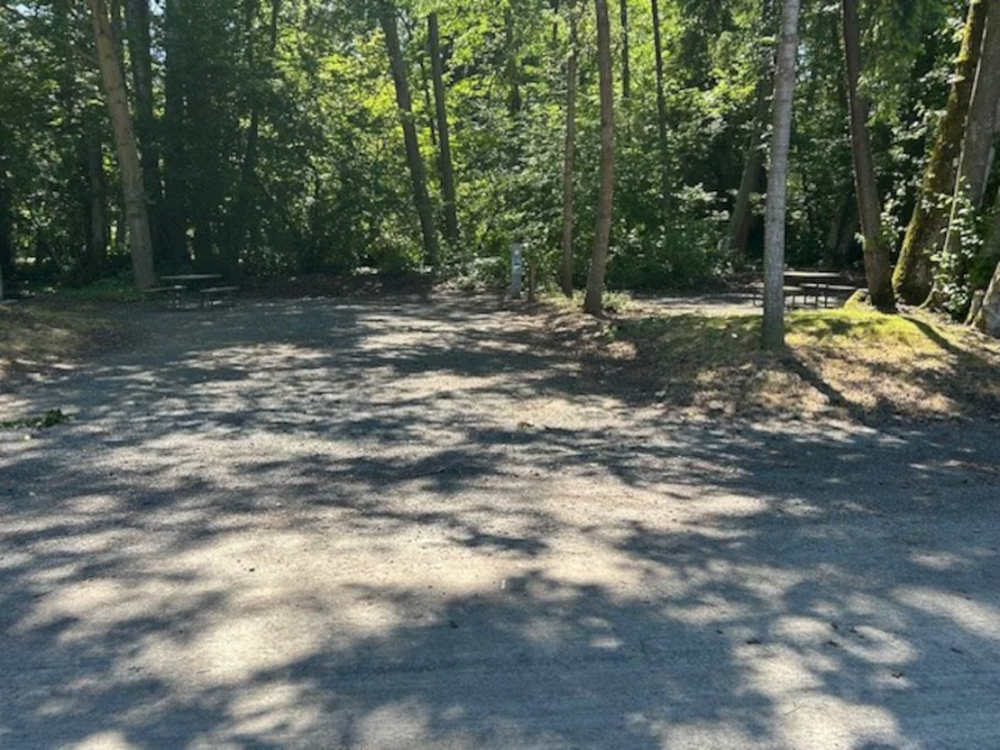 A shaded gravel sites and picnic table at Sun Retreats Birch Bay