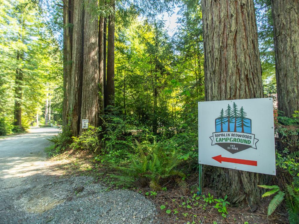 Lush entranceway to campground at Ramblin' Redwoods Campground