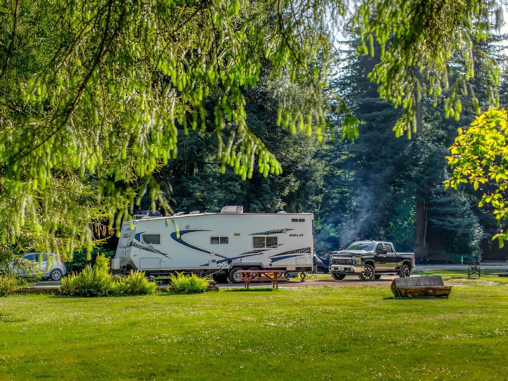 RV parked in site surrounded by trees
