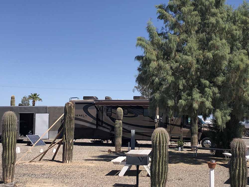 A Seneca trailer parked next to a bunch of cactus at 3 DREAMERS RV PARK