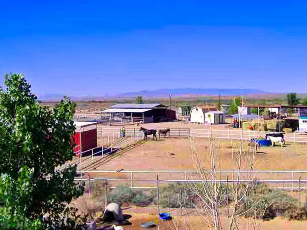 An aerial view of a group of horses in a corral at KIVA RV PARK & HORSE MOTEL