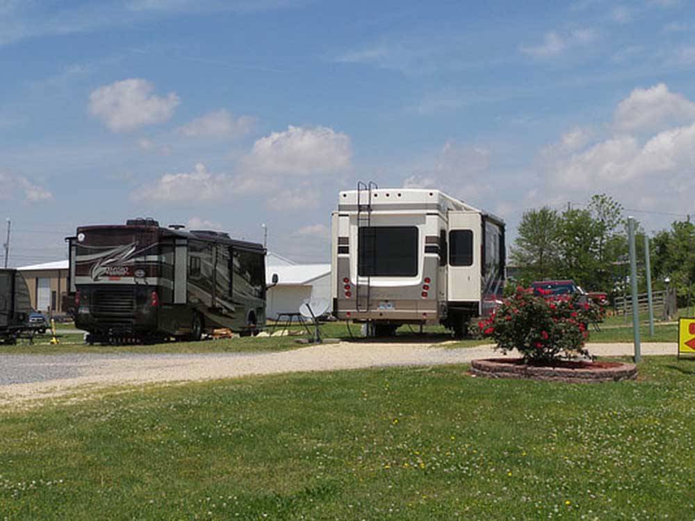 RVs parked at campsite at COYOTE VIEW RV PARK & RV REPAIR