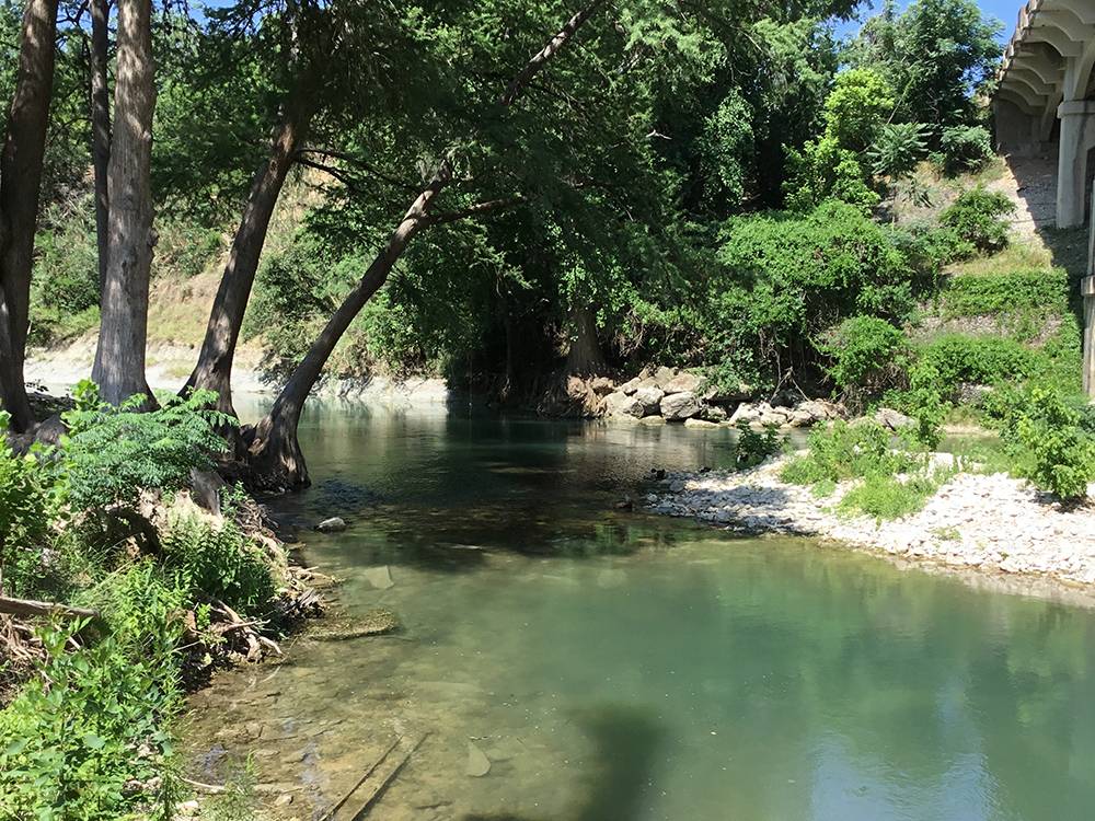The river by shade trees