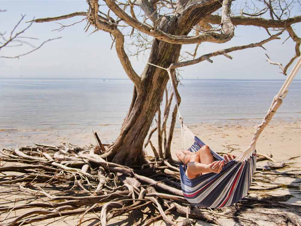A person laying in a hammock near the ocean at LEVY COUNTY VISITORS BUREAU