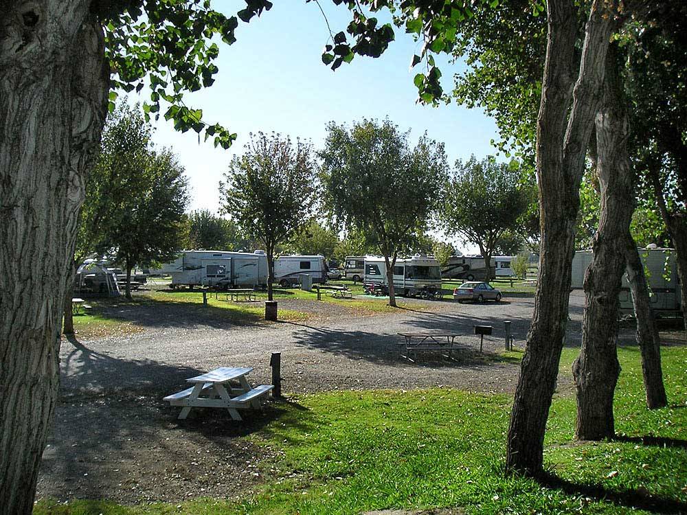 RVs and trailers at campground at THOUSAND TRAILS LAKE MINDEN