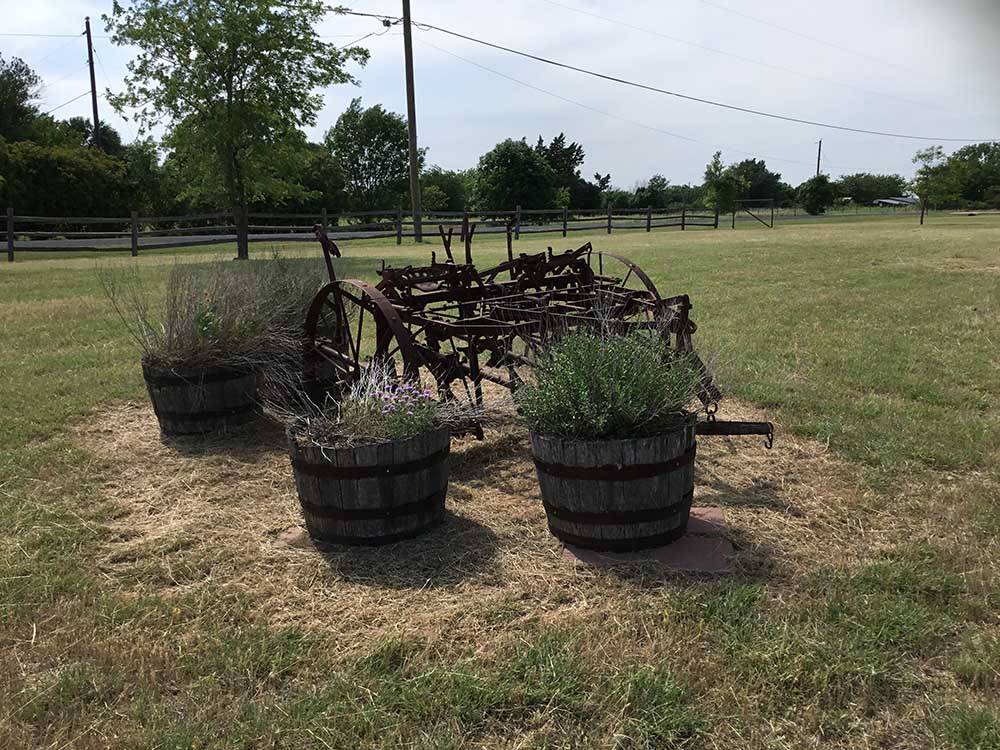 Wine barrel planters with flowers at EAST VIEW RV RANCH