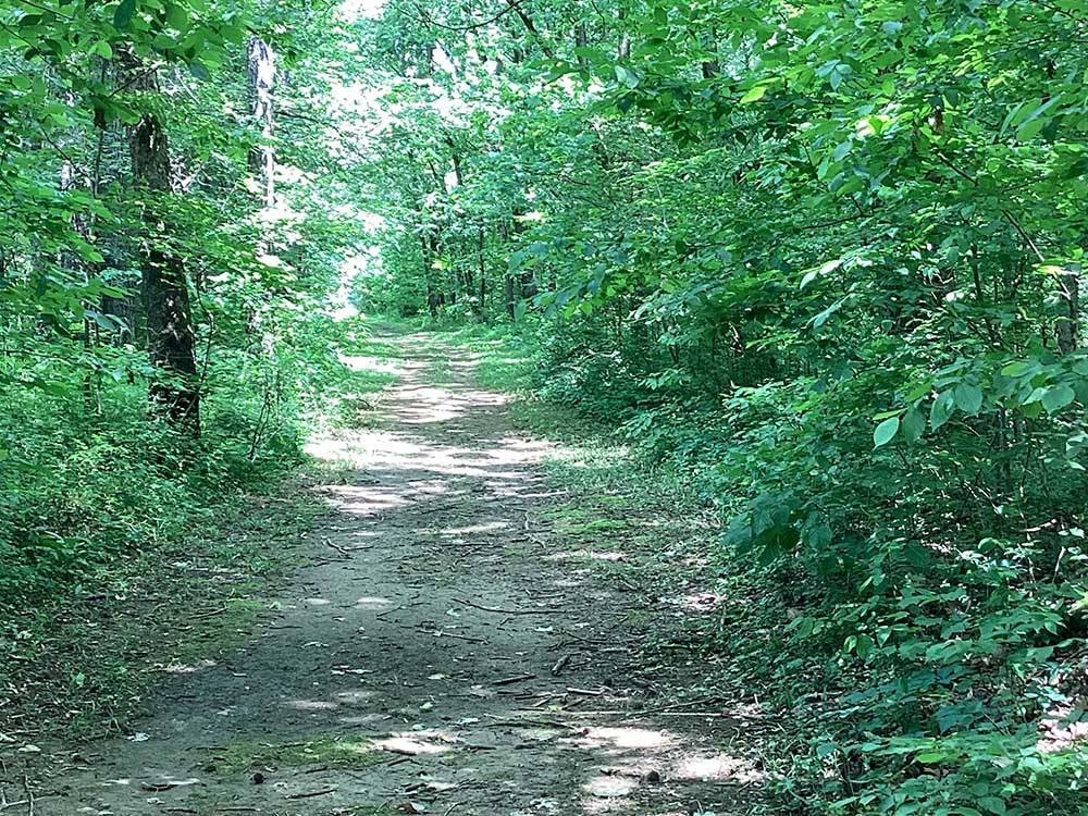 A walking trail in the woods at WILLS CREEK RV PARK