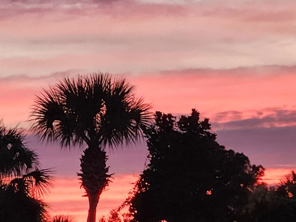 Palm trees against a colorful sunset at PERDIDO KEY RV RESORT