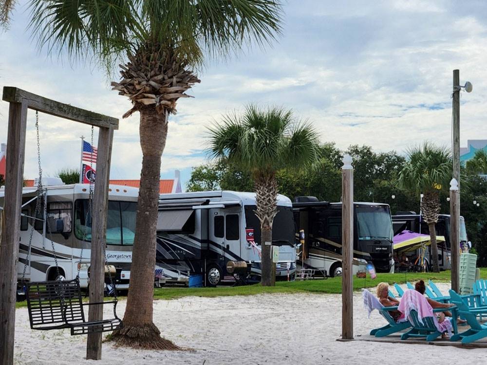 View of the palm trees by the RV sites
