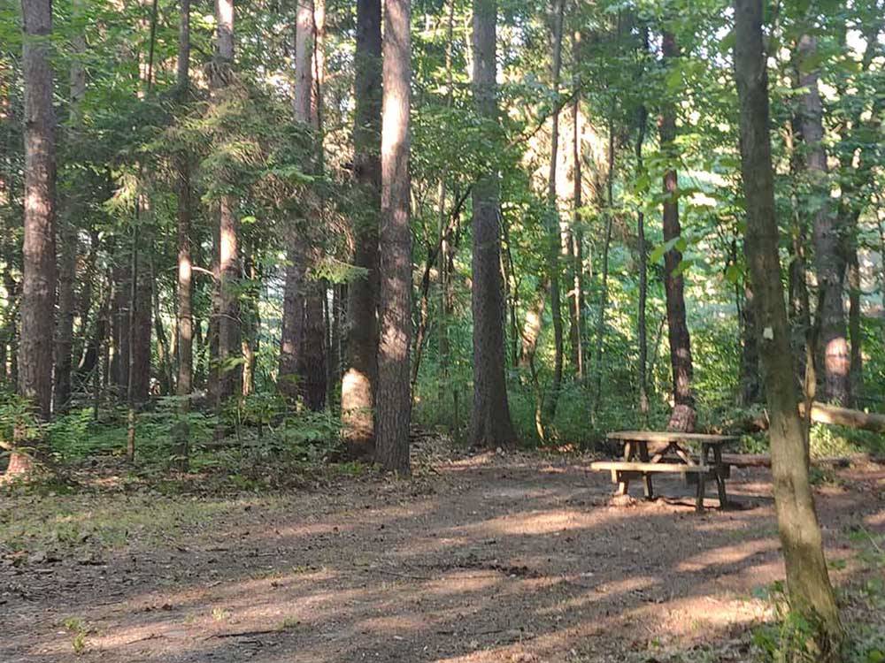 Campsite in woods with picnic table at COOL-LEA CAMP