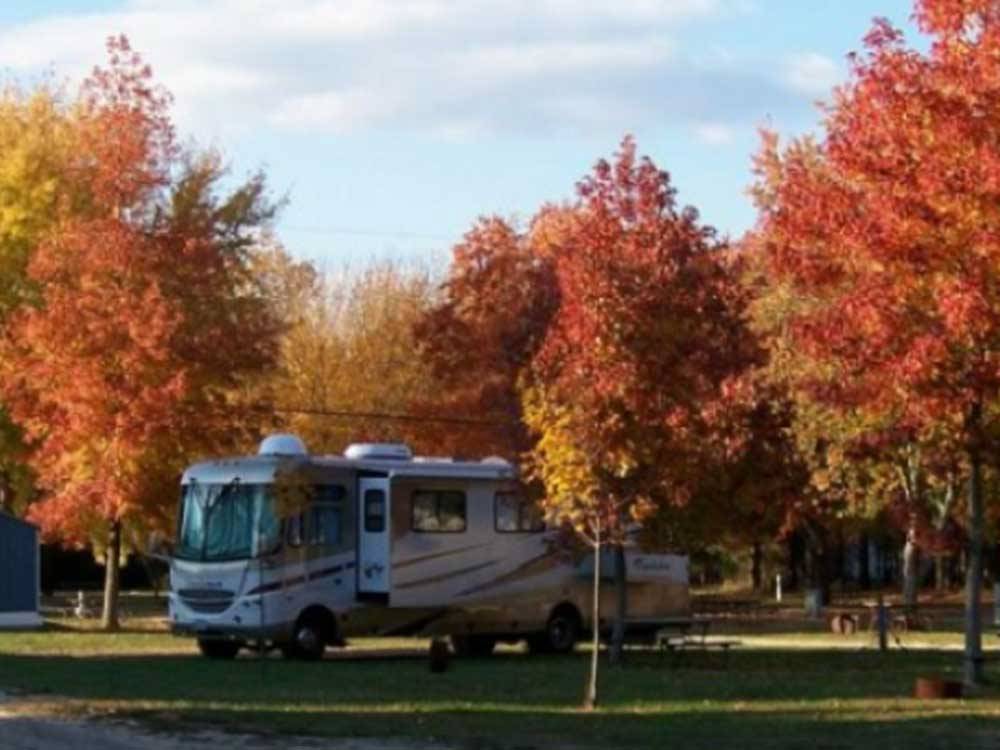 Fall colors surround a motorhome at ATLANTIC BLUEBERRY RV PARK