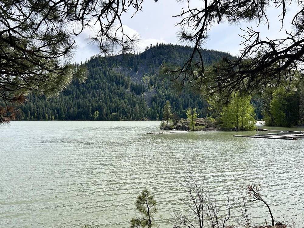View of lake with moorage to right