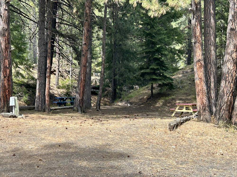 Spacious back-in site