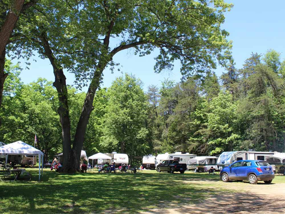 A grassy area in front of a group of RV sites at APPLE CREEK CAMPGROUND & RV PARK