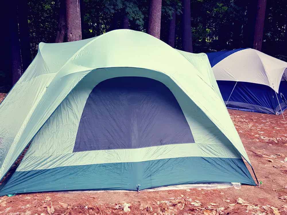 Tents in the tenting area at APPLE CREEK CAMPGROUND & RV PARK