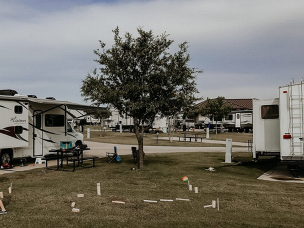 Tree by site Alice Springs RV Park & Resort