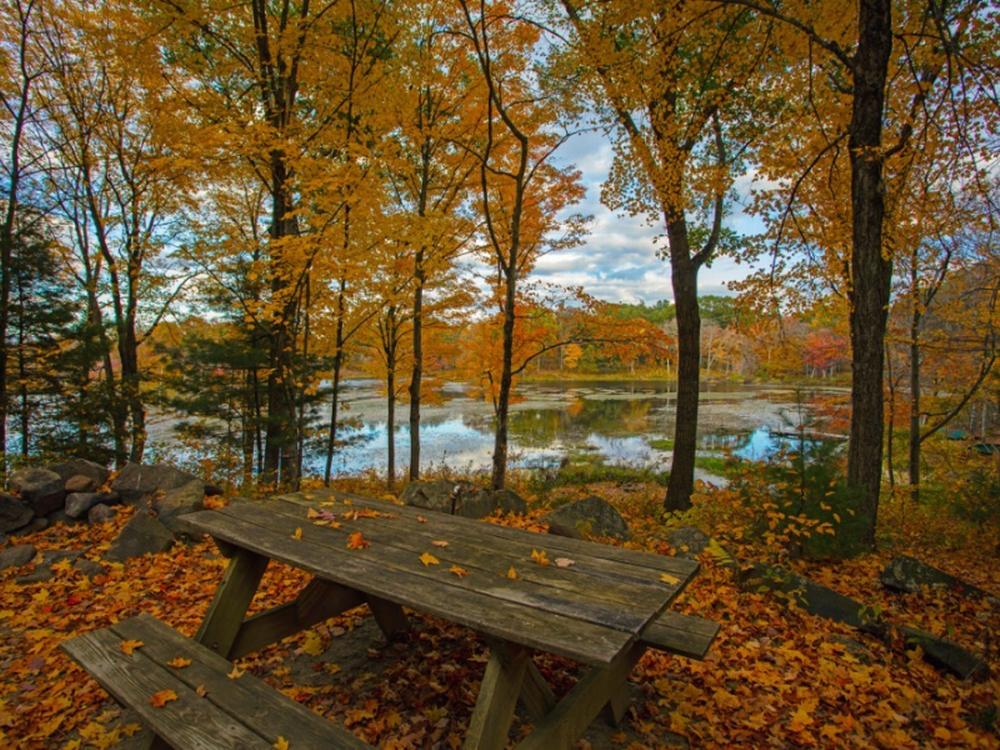 Picnic table at Cozy Hills Campground