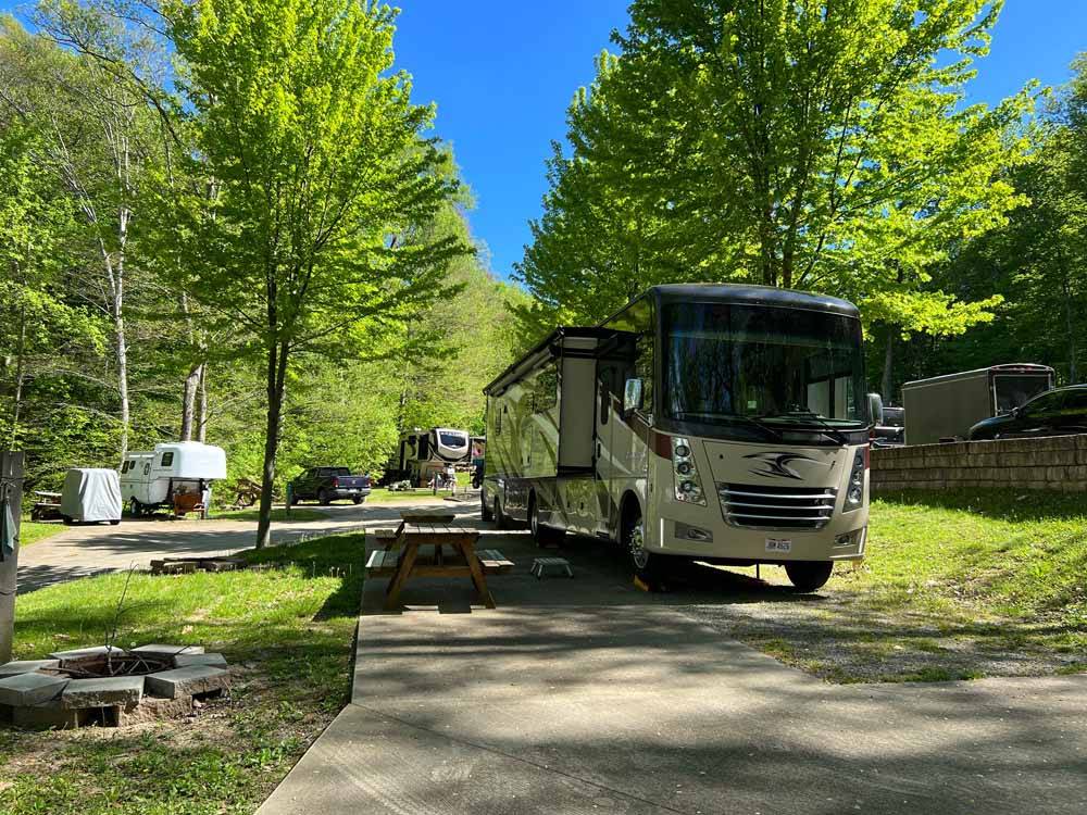 A motorhome in a paved RV site at WOOD'S TALL TIMBER RESORT