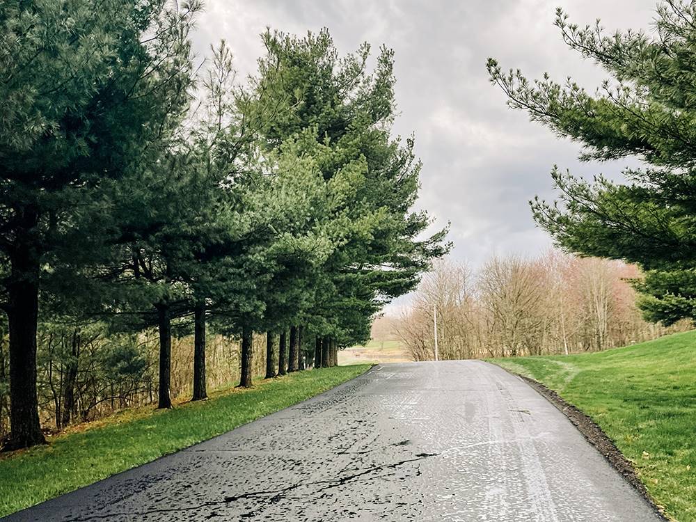 Tree lined road through the park at Timbercrest Camp and RV Park