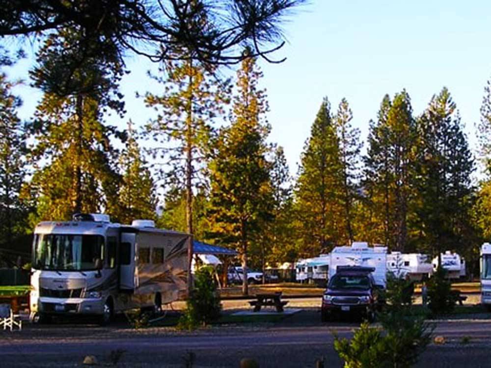 Motorhomes and trailers parked at LONE MOUNTAIN RESORT