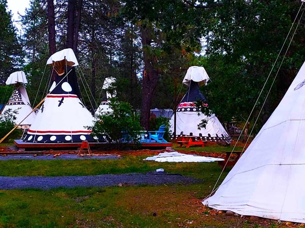 A lot of the teepee rentals at LONE MOUNTAIN RESORT