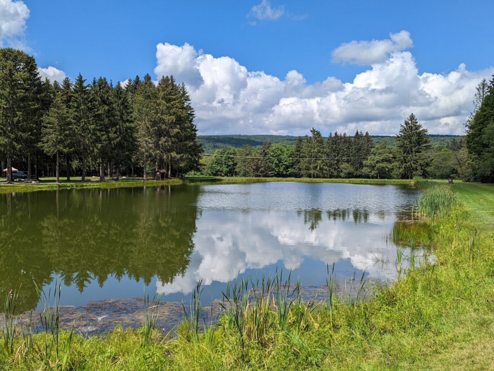 View of the water at Pioneer Lakes RV Park