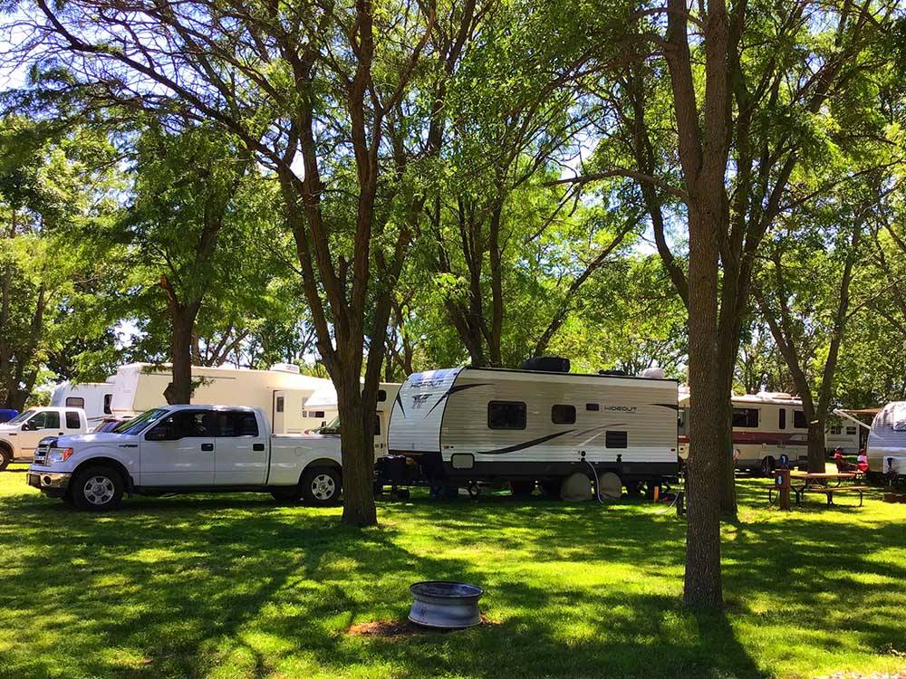 A row of shady RV sites at BETTS CAMPGROUND