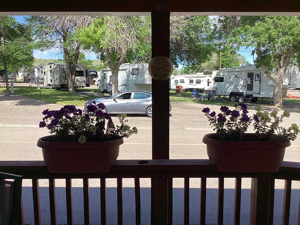 A couple of potted flowers at GREAT FALLS RV PARK