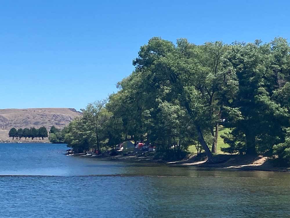 Trees near the coast of Banks Lake at COULEE PLAYLAND