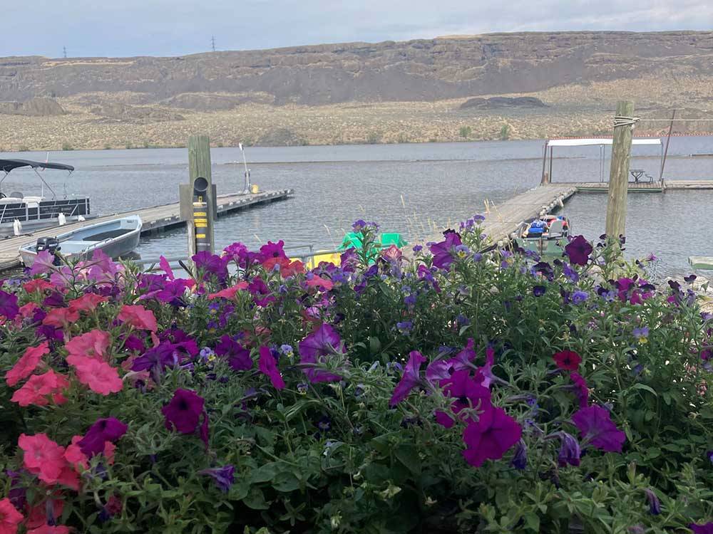 Beautiful flowers with Banks Lake in the distance at COULEE PLAYLAND