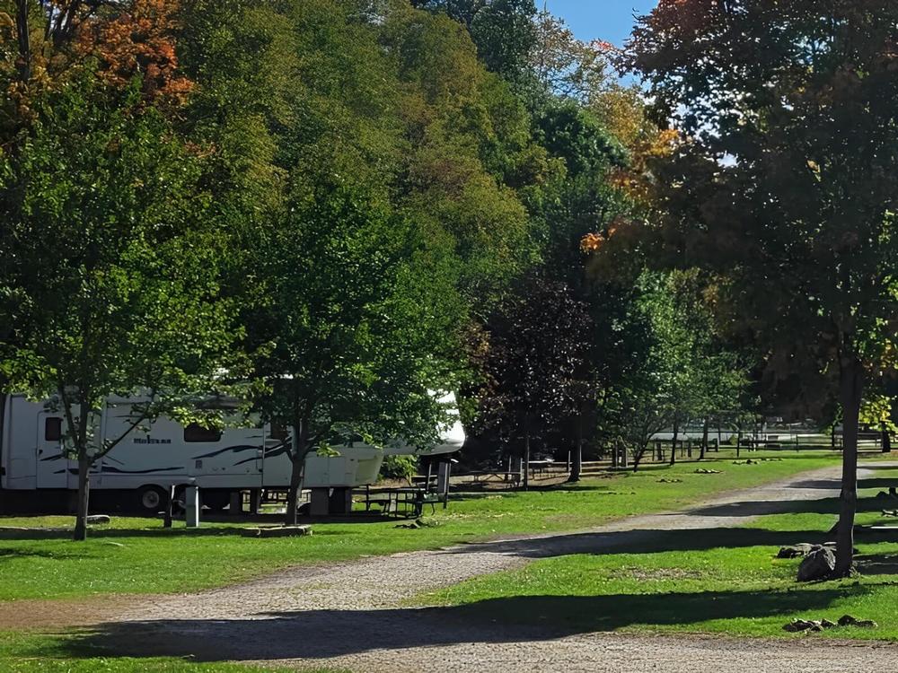 RVs parked under trees at Nelson's Family Campground