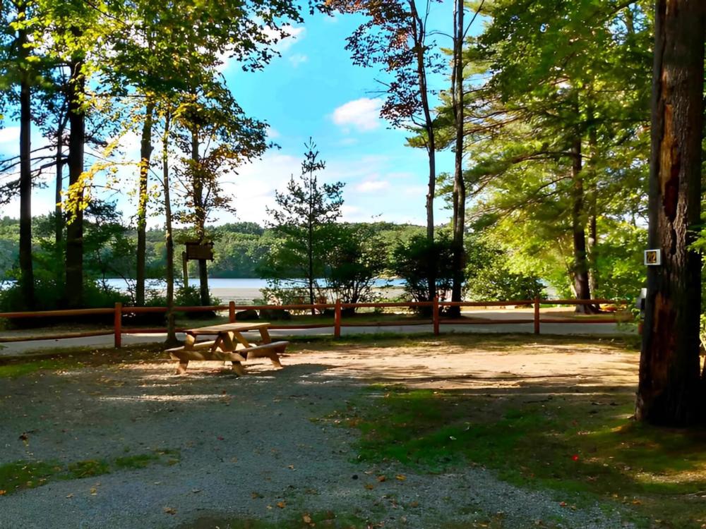 Campsite near the lake