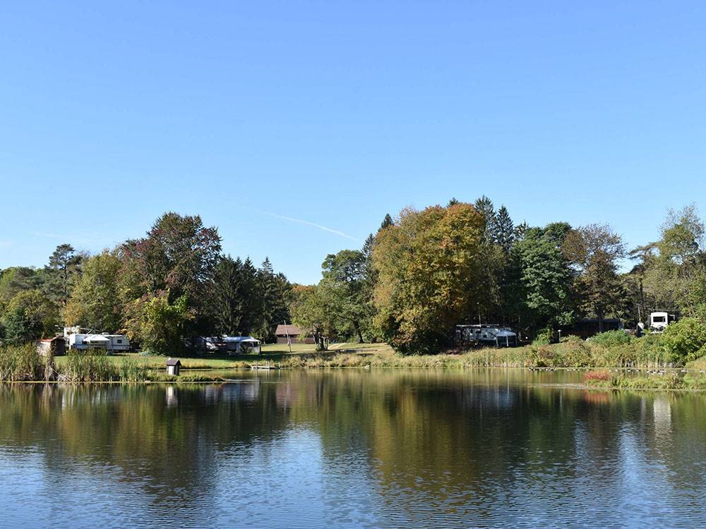 View of the pond