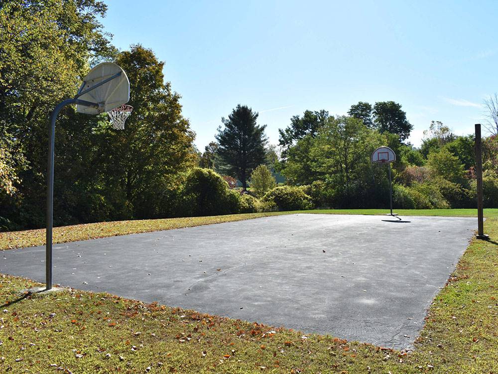 Basketball court