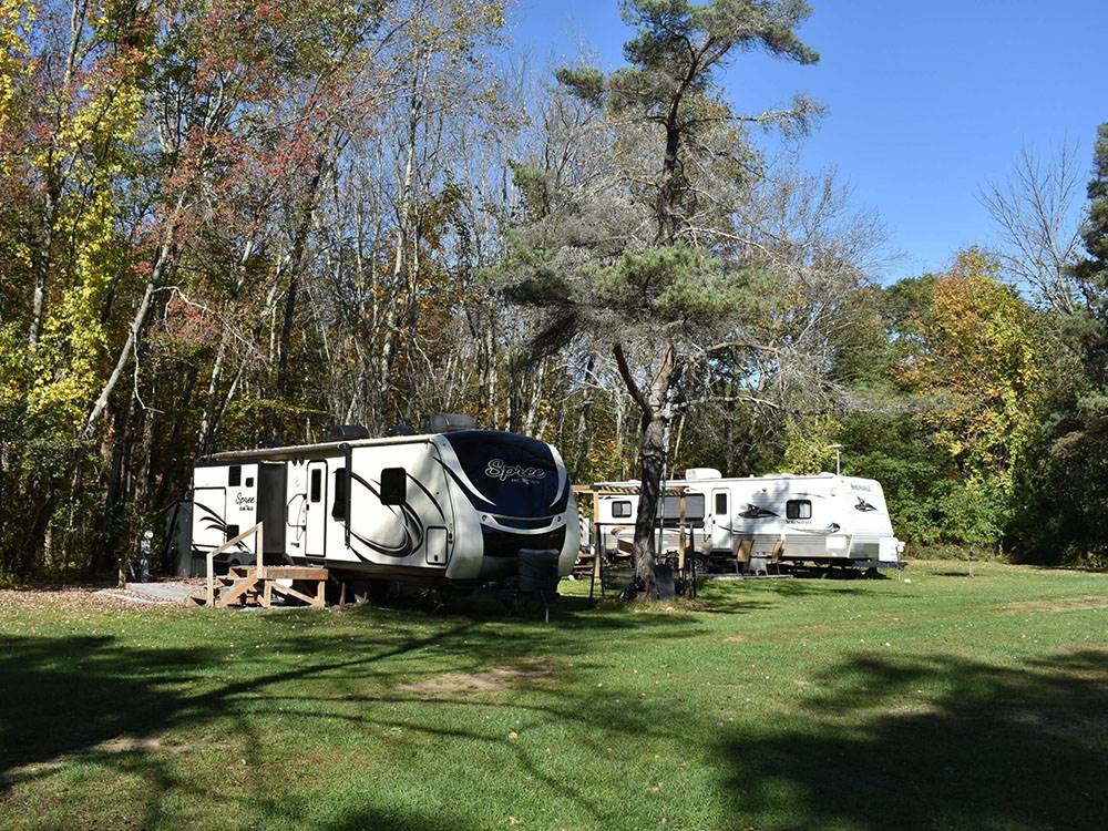 RV site under trees