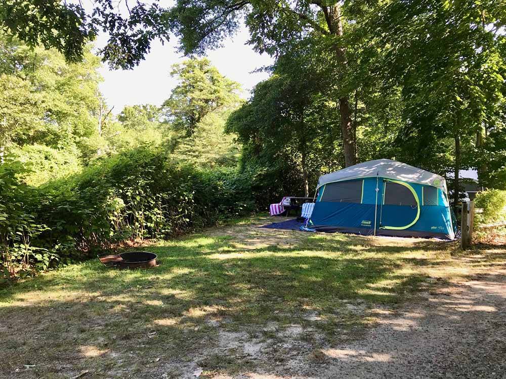 A tent in a site under trees at SHADY KNOLL CAMPGROUND