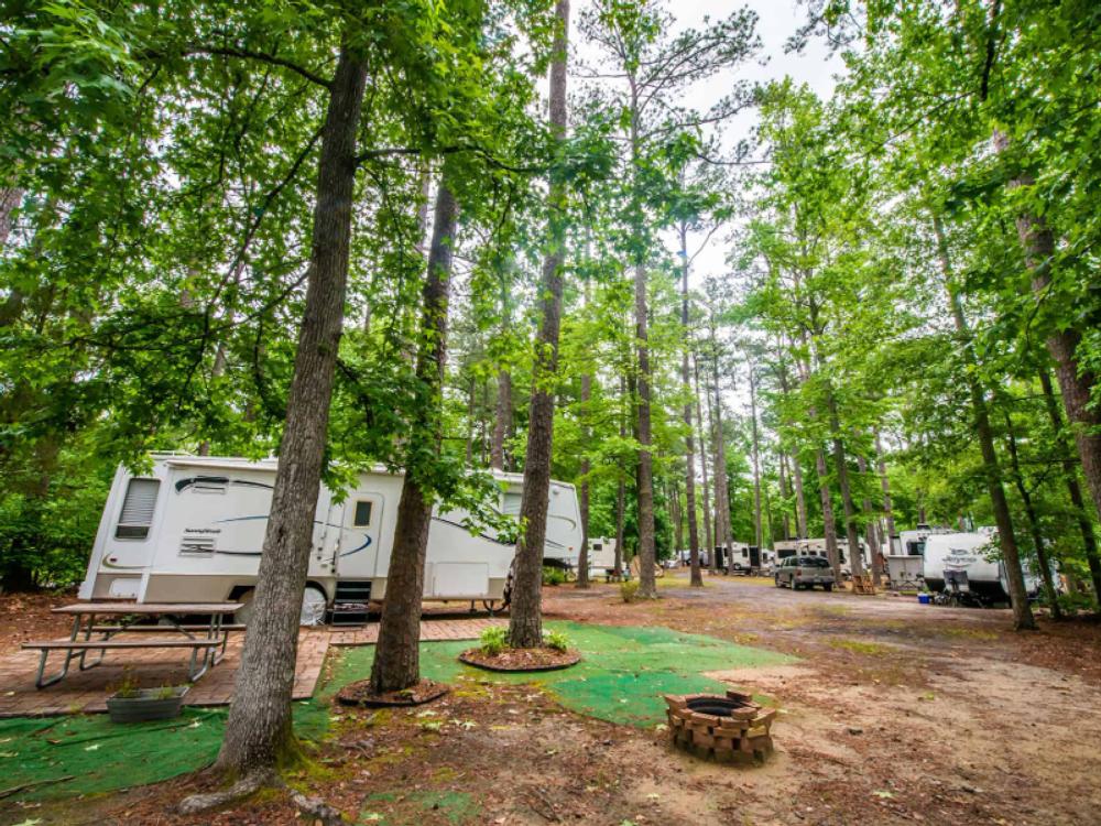 RVs at site under tall trees at Camp Cardinal RV Resort