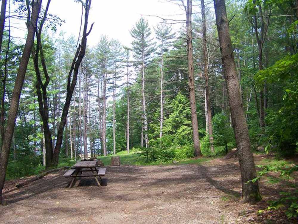 A picnic table surrounded by trees at CLEARWATER CAMPGROUND