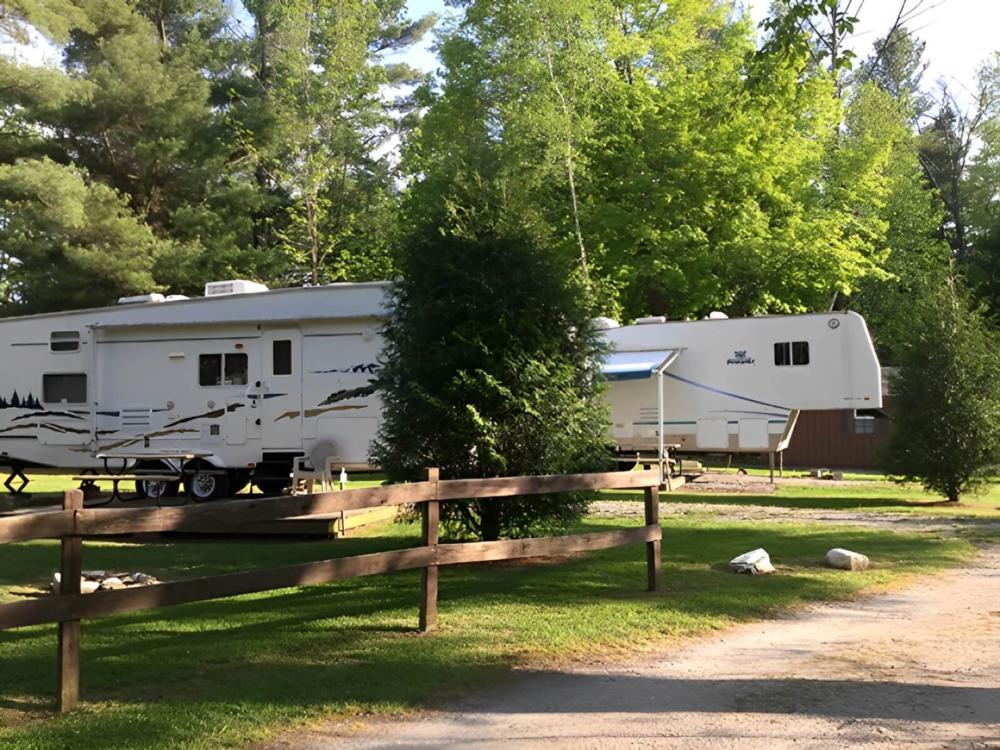 RVs parked in shady sites