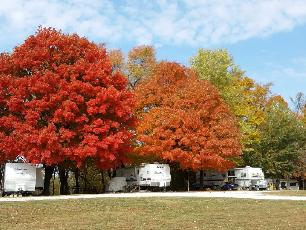 Trailers under large trees in the fall at Yogi Bear's Jellystone Park at Pine Lakes