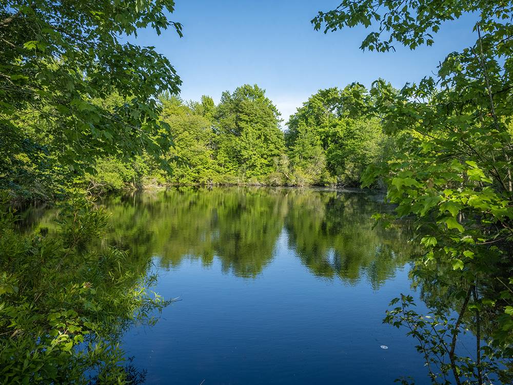 A view of the tree lined water at SUN OUTDOORS CAPE MAY