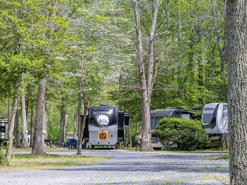 Trailers in tree lined sites at SUN OUTDOORS CAPE MAY