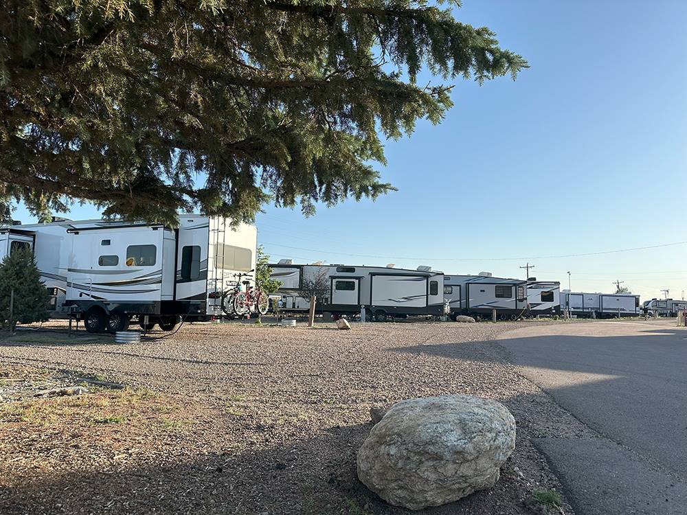 A row of RVs parked at sites