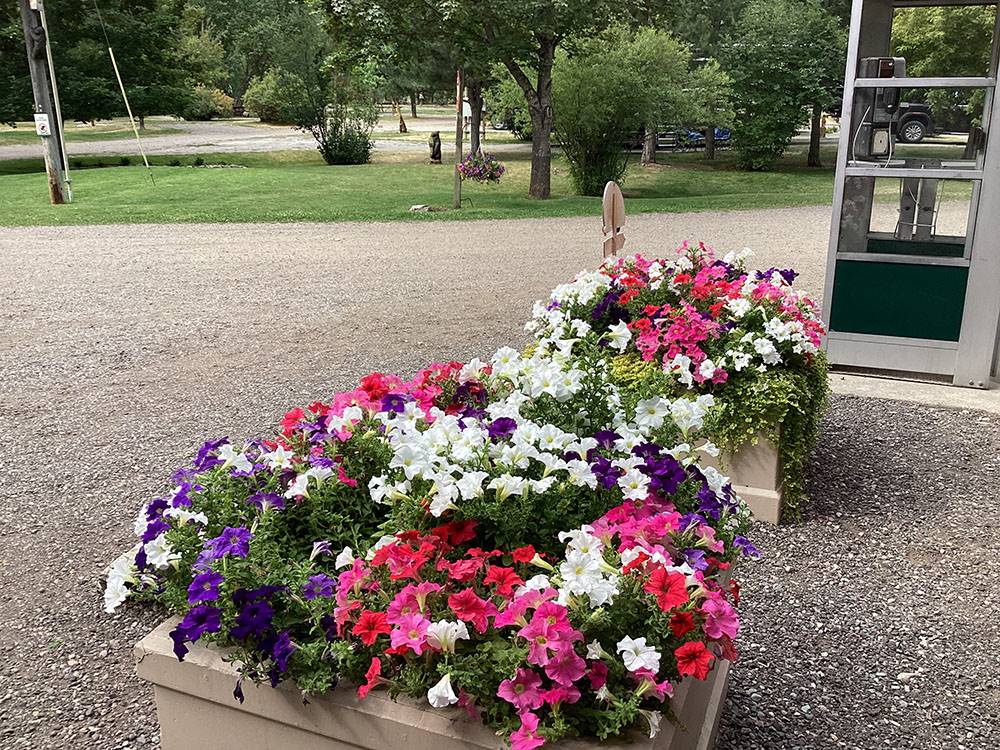 Flower containers with colorful blooms at CAMPGROUND ST REGIS
