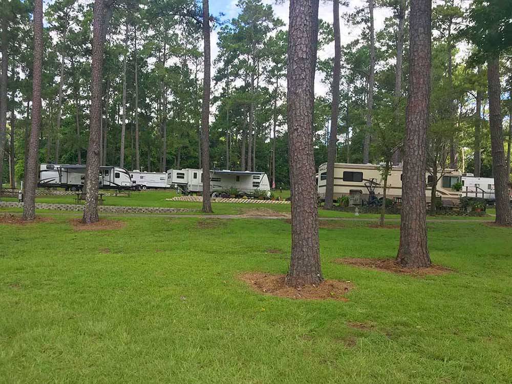 RVs parked near trees onsite at TRAVELERS CAMPGROUND
