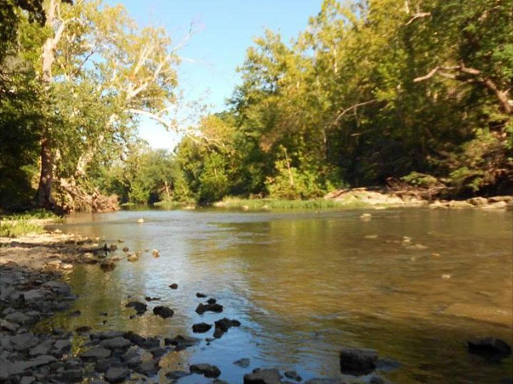 A view of Mill Creek