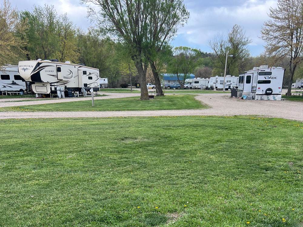 RVs parked in sites