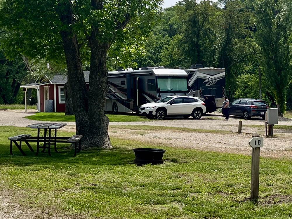 RVs among shade trees