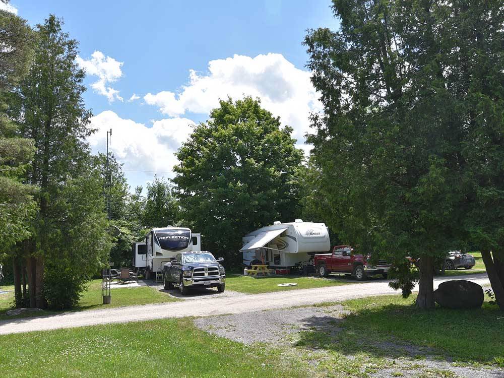 RV sites in between trees at CAMP HITHER HILLS