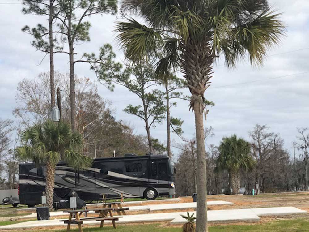Black and silver motorhome pulled in at a site with a picnic table at FLORIDA CAVERNS RV RESORT AT MERRITT'S MILL POND